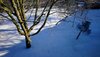 DSC_1336.JPG