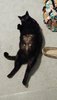 20180227_203150.jpg