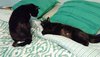 20180224_161334.jpg