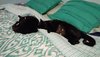 20180224_161006.jpg