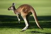 GettyImages-512657552.0.jpg