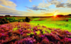 1520326270533.png