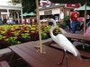 IMG_3309.JPG