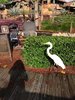 IMG_3367.JPG