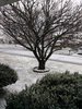 20180307_142759.jpg