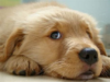 1520975641855.png