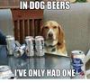 in-dog-beers-lue-ribbon-ive-only-had-one-19309697.png