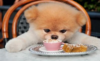 1521033161201.png