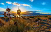 Pictures-sunset-bluestem-praire-colorado-springs.jpg