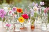 203066-675x450-springflowers.jpg