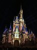 IMG_1685.JPG