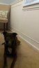 20180316_191534.jpg