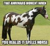 cool-horse-hair-hidden-letters.jpg