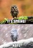 FB_IMG_1521548943602.jpg