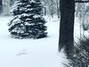 938AE62C-B191-4C2C-97D2-109C8230F42D.jpeg