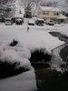 20180322_085113.jpg