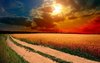 eqjy66f-beautiful-sunset-wallpaper.jpg