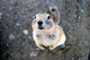 1522054567578.png