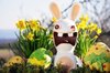 Easter-silly.jpg