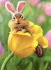 cd6724-chipmunk-bunny-in-tulip-easter-card.jpg