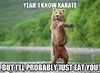 Yeah-I-Know-Karate-But-I-Will-Probably-Just-Eat-You-Funny-Karate-Meme-Image.jpg