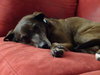 DSC00042.JPG