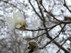20180407_091920.jpg