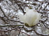 DSC00047.JPG