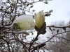 DSC00049.JPG