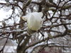 DSC00046.JPG