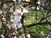 20180407_155204.jpg