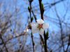 20180407_155057.jpg
