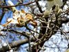 20180407_154827.jpg