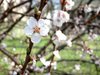 20180407_154641.jpg