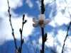 20180407_154524.jpg
