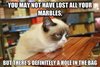 cat-marbles.jpg