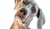 1523395611796.png