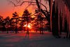 7zAP6Af-winter-sunset-wallpaper.jpg