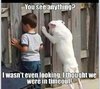 funny-memes-kid-dog-timeout.jpg