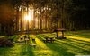 sunset_in_the_forest-wallpaper-1280x800.jpg