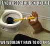 cat_unblocking_toilet__3684289078.jpg