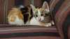 20180616_155328.jpg