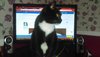 IMAG0949.jpg