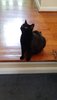 20180601_142904.jpg