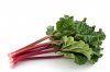 rhubarb-660x438.jpg