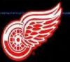 red wings2.jpg