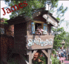 splashmountain copy.gif