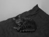 reimg_0905.jpg