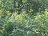 D141EF6D-8347-4F19-924B-AEFE8E102713.jpeg