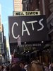 Cats sign.JPG